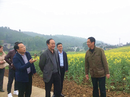 【環保視點 綠企展播 圖文摘要】巴南區人大常委會主任胡能兵到頤廷農業油菜基地考察