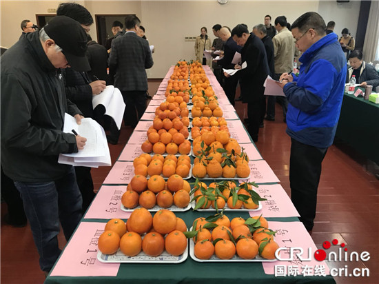【聚焦重慶】優質晚熟柑橘齊聚長壽湖 四類産品果王出爐