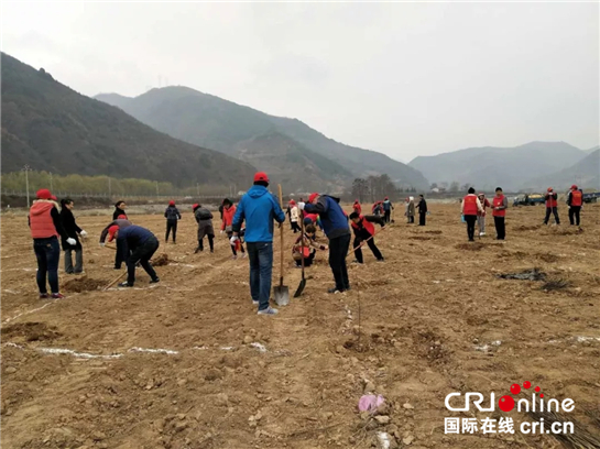 (已改）【三秦大地 寶雞+移動列表】500株公益花椒紮根鳳縣 寶雞“旅遊+公益+扶貧”效果明顯