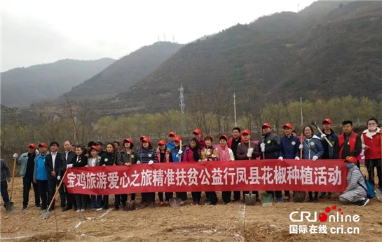 (已改）【三秦大地 寶雞+移動列表】500株公益花椒紮根鳳縣 寶雞“旅遊+公益+扶貧”效果明顯