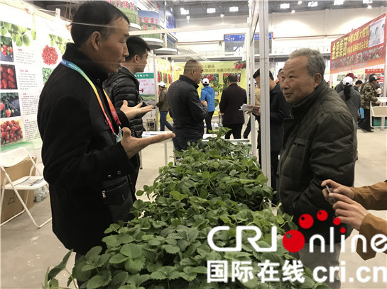 【三秦大地　楊淩＋移動列表】楊淩雙交會舉辦 6國涉農企業參展