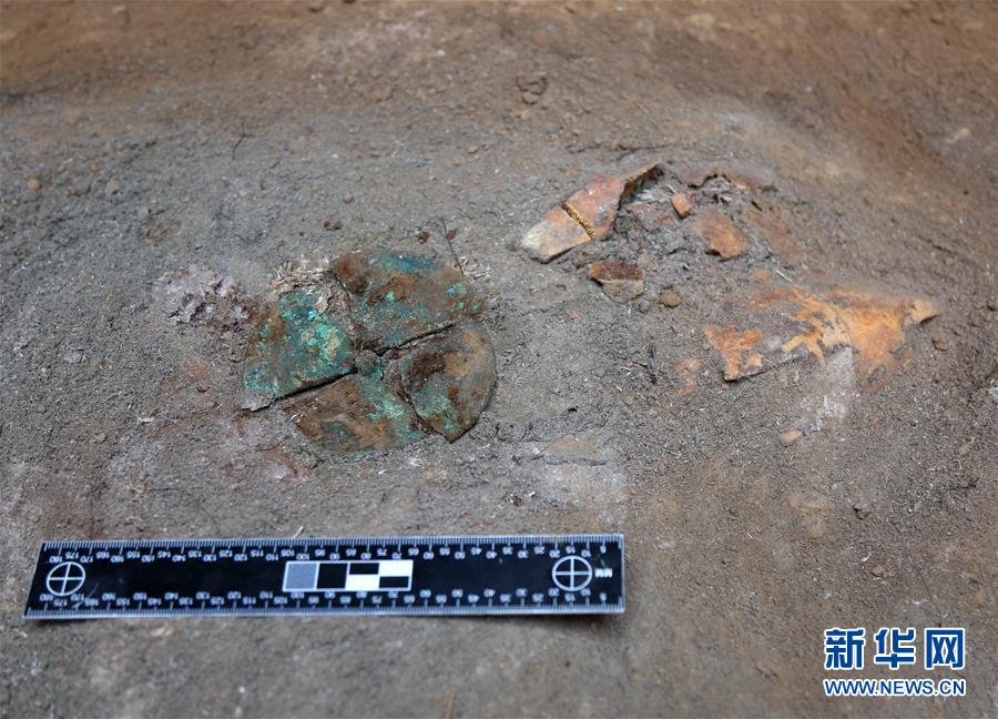 秦咸陽城遺址發現罕見戰國晚期卜甲