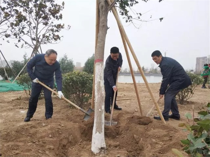 【三秦大地 西安】花滿浐灞綠滿城 綠化美化不止3·12 更要365