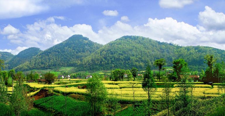 【專題 三國聖地 美麗勉縣  CRI多餘報道 韓語】삼국의 성지, 유채화 관광지로