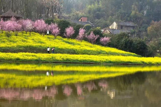 【CRI專稿 列表】重慶羊鹿山景區首屆油菜花文化旅遊節開幕