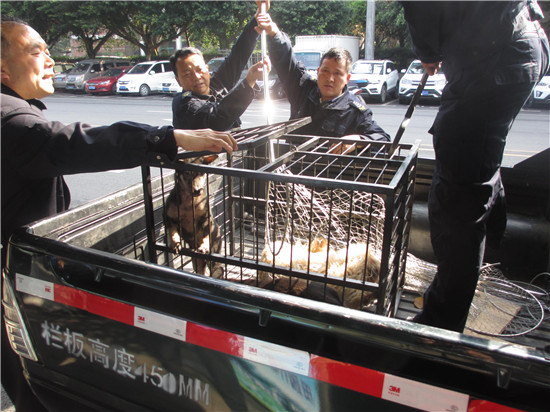 【區縣聯動】【江津】江津：多措並舉促文明養犬 齊心協力創宜居環境【區縣聯動 列表】江津警方開展流浪犬只專項搜救工作