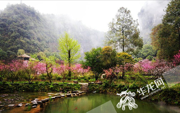 【渝情渝景】逛世外桃源 遊龔灘古鎮
