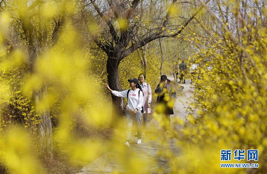 山東：春暖花開季 踏青正當時