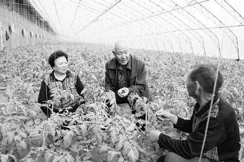 圖片默認標題_fororder_9260f8f2ae61031008cb7cf2485b4f37_副本