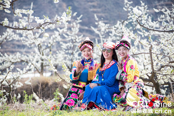 “三月相聚春賞花 五月相約夏摘果” 2018四川茂縣萬畝脆李花采風行活動啟動