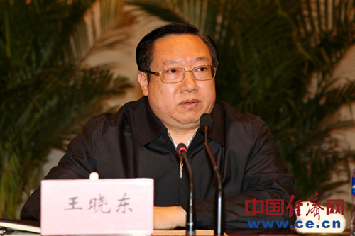 王曉東任湖北省人民政府代理省長(圖/簡歷)