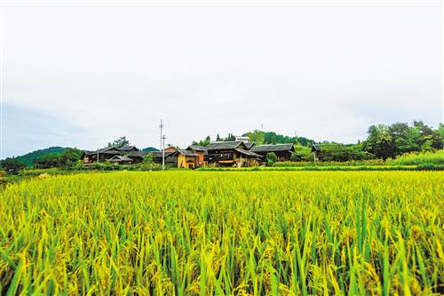 [治國理政新實踐·重慶篇]重慶石柱：改善農村人居環境建設宜居鄉村