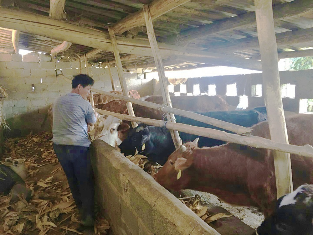【焦點圖】貧困戶劉西建的“脫貧脫單夢”