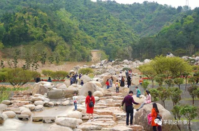 【十堰】【汽車旅遊】茅箭秦巴植物王國開園