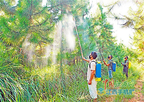 圖片默認標題