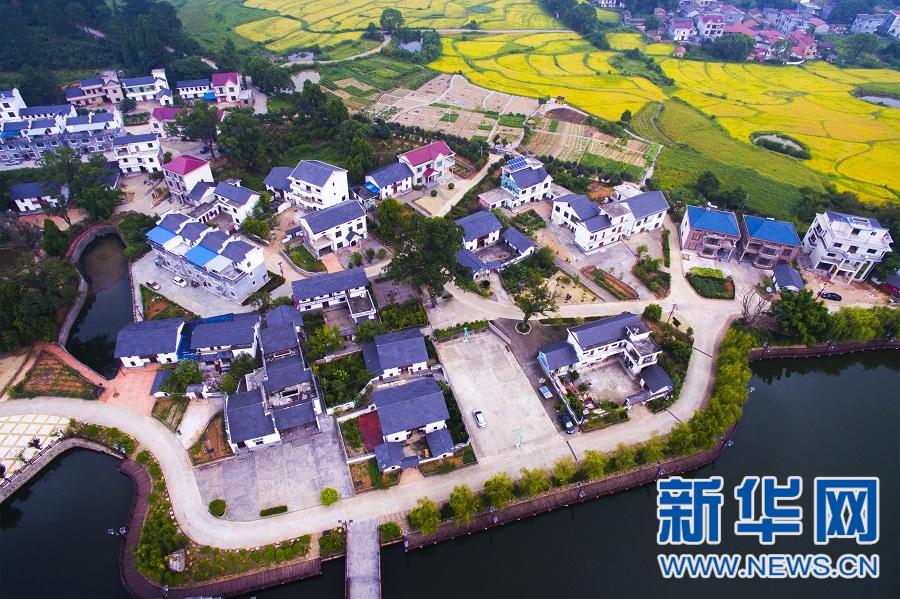 圖片默認標題
