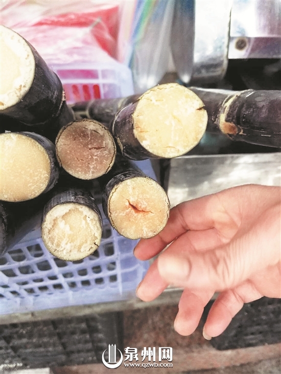 【輿情 主推】【滾動新聞】【地市 福州】 （泉州市食藥監突查壓榨甘蔗汁街攤）泉州市食藥監突查壓榨甘蔗汁街攤 未發現摻雜摻假行為