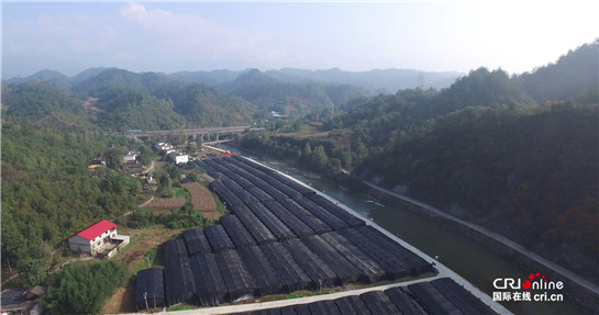 【三秦大地 商洛+移動列表】京東眾籌助力商南海鑫“全産業鏈”電商扶貧