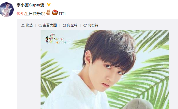 王俊凱17歲生日 李小璐鐘鎮濤發文送祝福