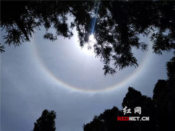 南嶽衡山驚現“日暈”壯美天象