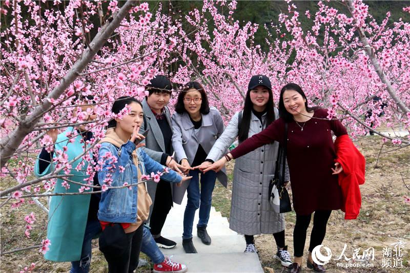 【大美荊楚·靈秀湖北】【焦點圖 第三張做封面】【恩施州】【主頁標題】湖北鶴峰：大山深處桃花開【內容頁標題】湖北鶴峰：大山深處桃花開 引得八方遊人來