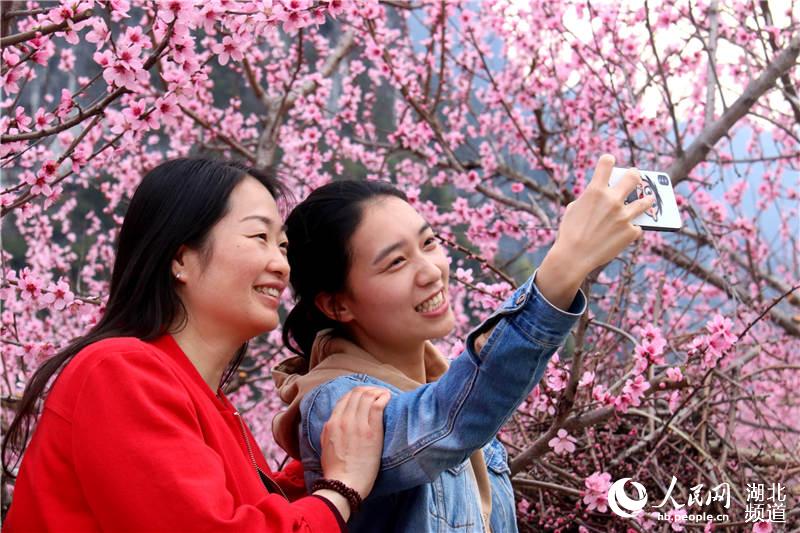 【大美荊楚·靈秀湖北】【焦點圖 第三張做封面】【恩施州】【主頁標題】湖北鶴峰：大山深處桃花開【內容頁標題】湖北鶴峰：大山深處桃花開 引得八方遊人來
