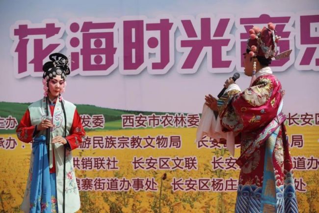 【三秦大地 西安】春滿中國·醉西安 |長安油菜花節開幕 千車萬人醉遊萬畝梯田花海
