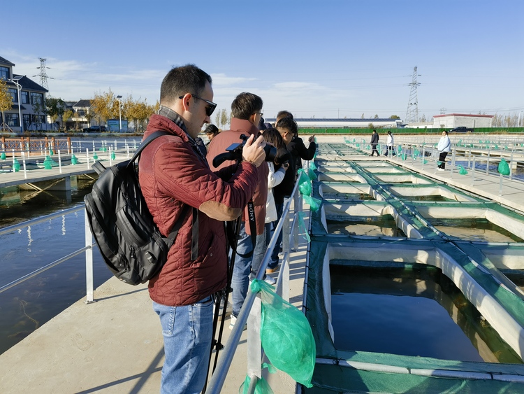【Hi，Shandong】外媒東營行：走進黃河口大閘蟹産業園，解碼小螃蟹成就大産業_fororder_微信圖片_202311161552395
