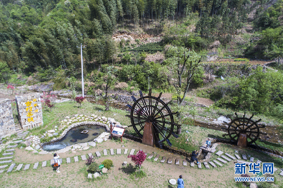山花爛漫大別山