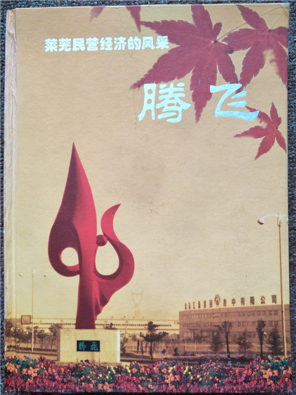 圖片默認標題_fororder_萊蕪民營經濟風采錄（201408）1