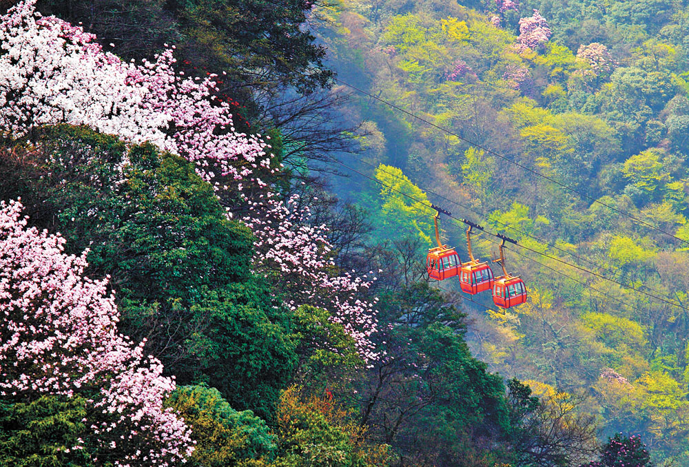 【焦點圖】金佛山北坡將升級