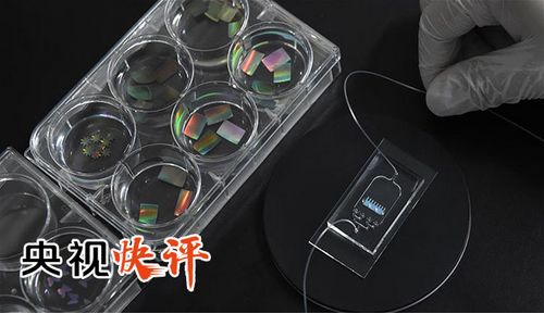 【央視快評】加快構築國家網絡安全屏障