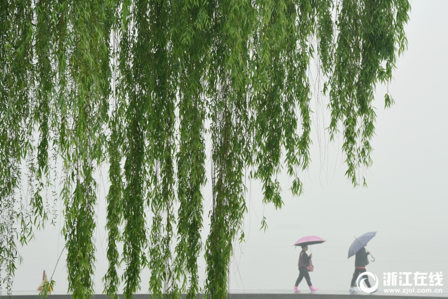雨中西湖別樣美