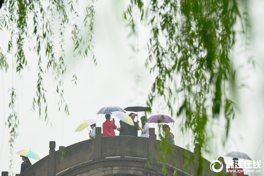 雨中西湖別樣美