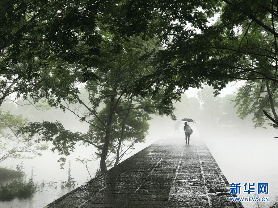 楊柳披綠雨瀟瀟 半煙半雨看溪橋