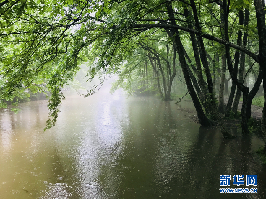 楊柳披綠雨瀟瀟 半煙半雨看溪橋