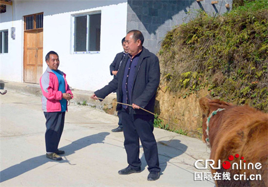 【區縣聯動】【石柱】石柱縣馬武鎮“改非”幹部墊資為貧困戶買牛防返貧【區縣聯動 列表】石柱縣“改非”幹部為貧困戶買牛防返貧