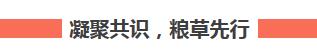 為了一江清水浩蕩東流——習近平總書記長江考察紀實