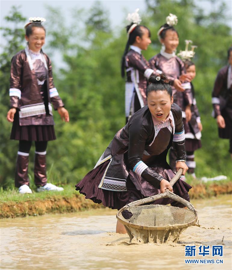 貴州榕江：苗寨迎來開犁節