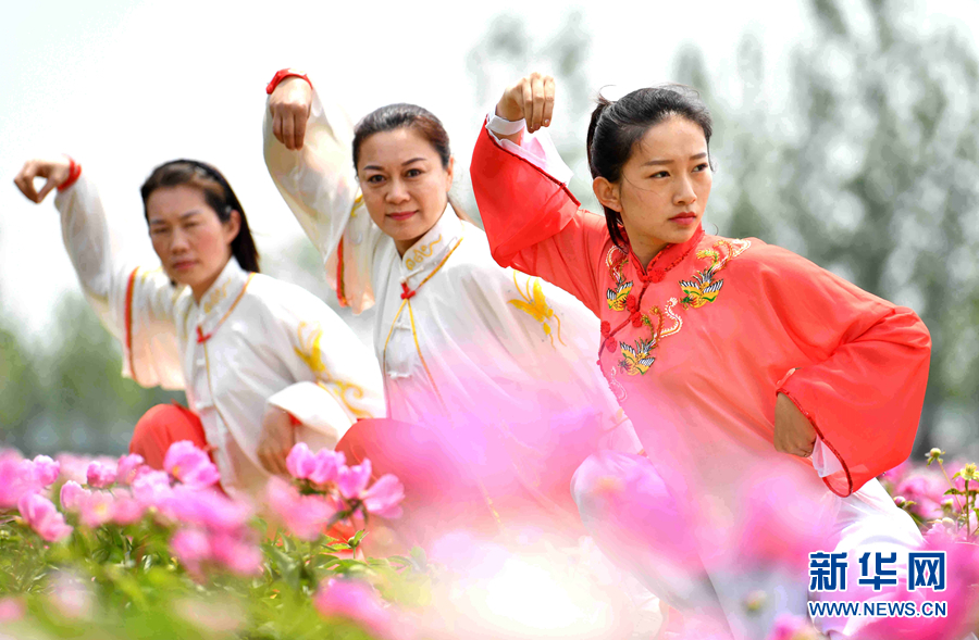 芍藥花海添元素 五禽戲中展非遺