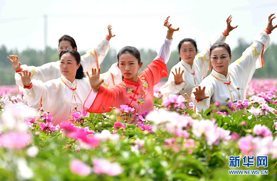 芍藥花海添元素 五禽戲中展非遺