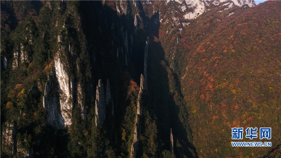 航拍神農架神秘的“三十六把刀” 山峰薄如刀片