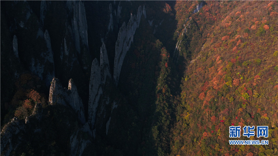 航拍神農架神秘的“三十六把刀” 山峰薄如刀片