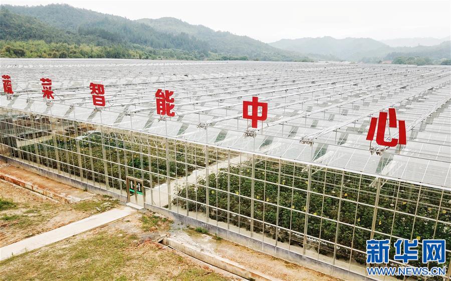 江西全南：探訪高山蔬菜種植地