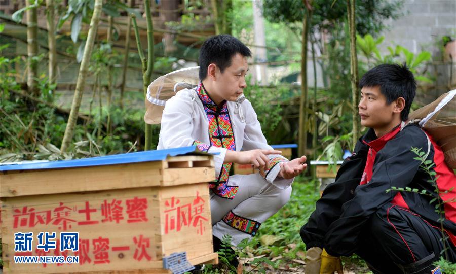 【先不簽】青春在“蜂”中綻放