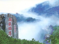 中國山東_fororder_ex20180508013