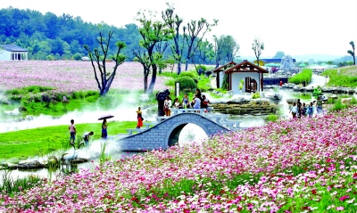 “2018武漢最受國內外遊客喜愛的十大賞花名地”評選活動落幕 十大賞花名地 盡顯“武漢新花城”風采