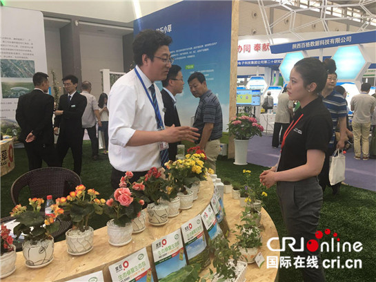 【專題 第三屆絲博會 絲博速遞 加摘要+三秦大地 西安+移動列表＋今日看點】絲博會探館：用“小草的力量”打造金山銀山