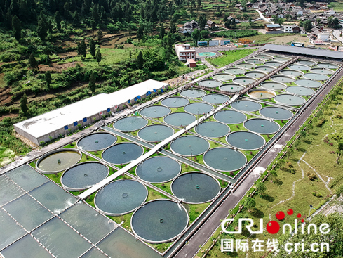 （要聞、移動版、地市銅仁）【美麗中國長江行】梵凈山下:“靠山吃山"打造生態産業