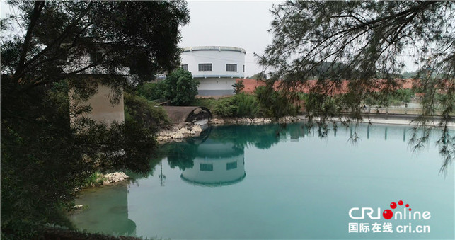 【唐已審】【原創】【園區建設-圖文】【移動端-標題列表】【南寧】園博園八大景美如畫 蘆草疊塘景觀搶先看 【唐已審】【原創】【園區建設-圖文】【移動端-標題列表】【南寧】園博園八大景美如畫 蘆草疊塘景觀搶先看